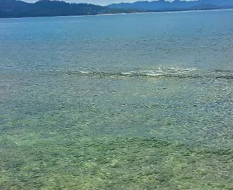 Hidden Gilis: photo 3 of 3