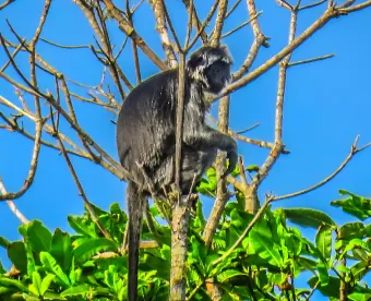 Tetebatu Village: photo 2 of 2
